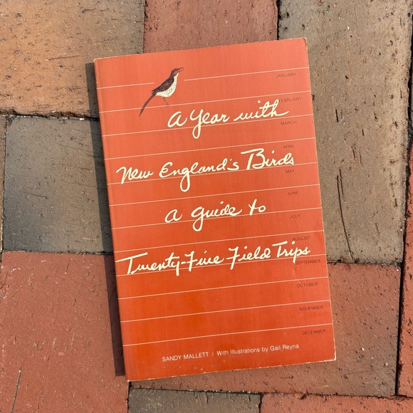 A Year with New England’s Birds A Guide to 25 Field Trips Bird New England - Picture 1 of 13